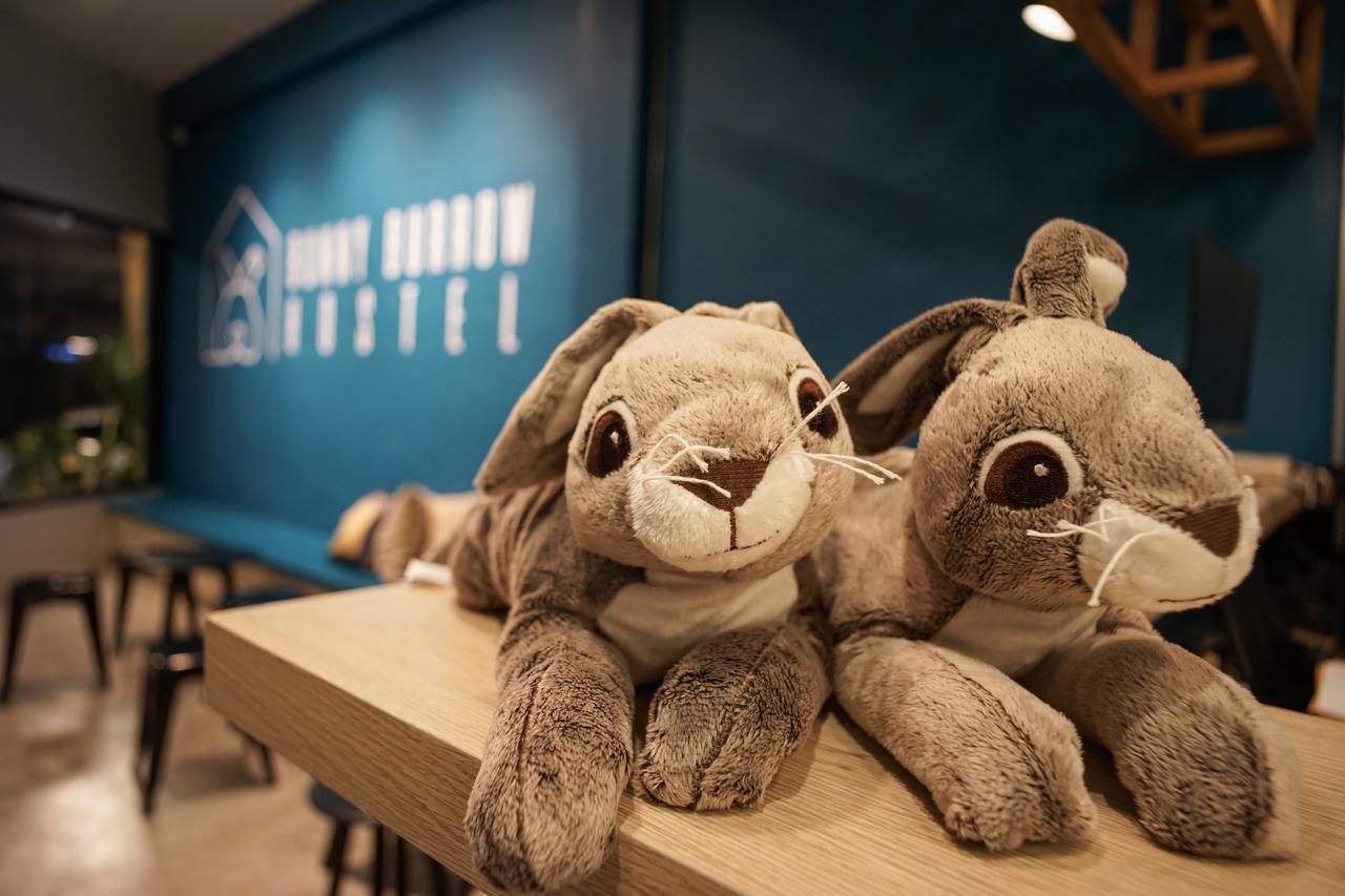 Bunny Burrow Hostel *
